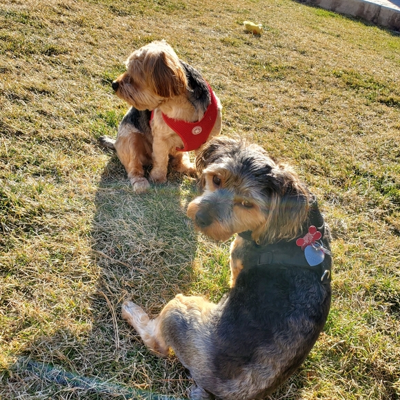 Meet your Posher, Wendy - Picture 4 of 4